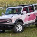 Ford Bronco Desert Rising offen neben einem See