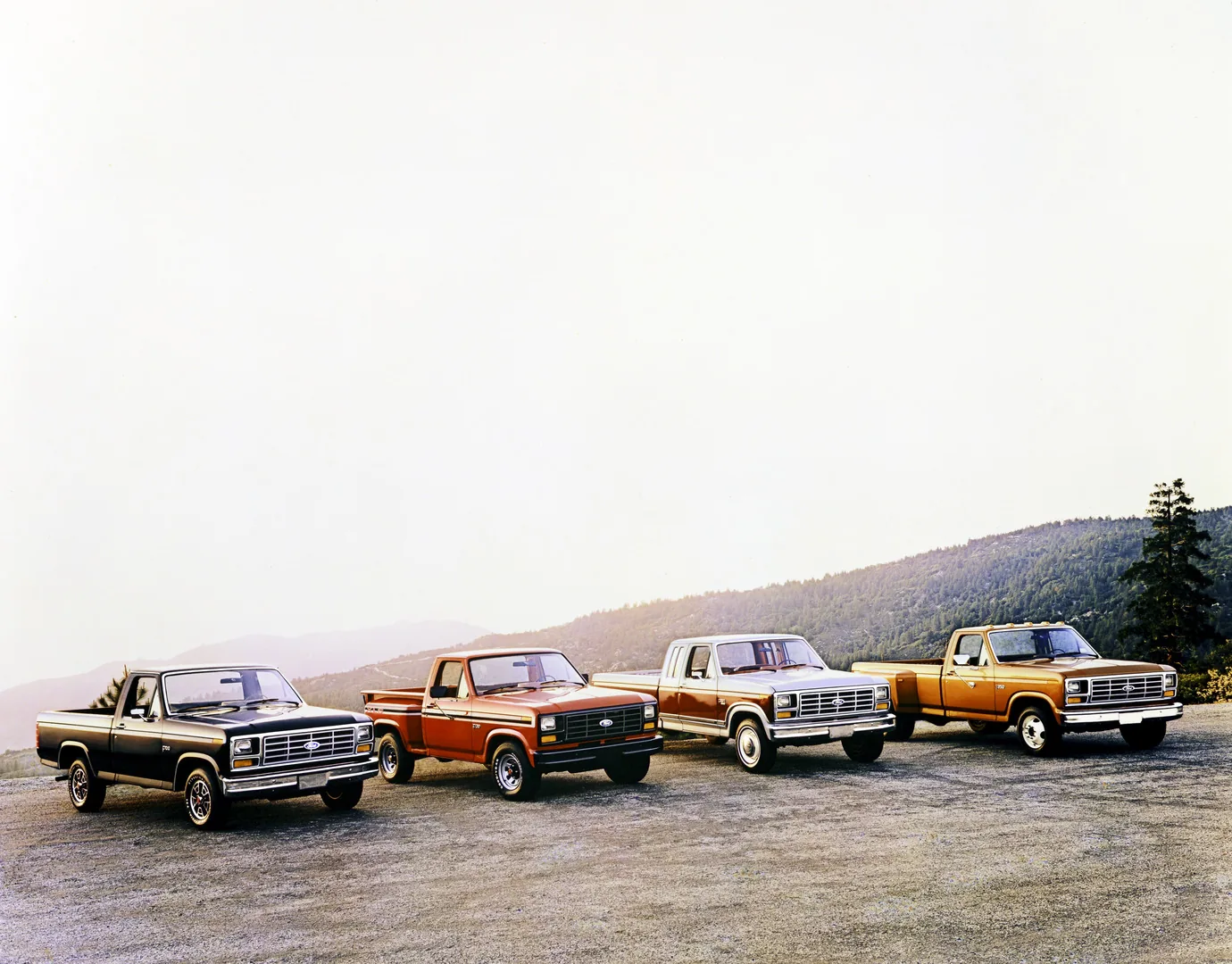 Ford F-100, F-250 und F-350 des Modelljahrs 1982 in einer Reihe