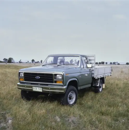 Dunkler 1984 Ford F-350 mit Pritschenaufbau auf einer Wiese