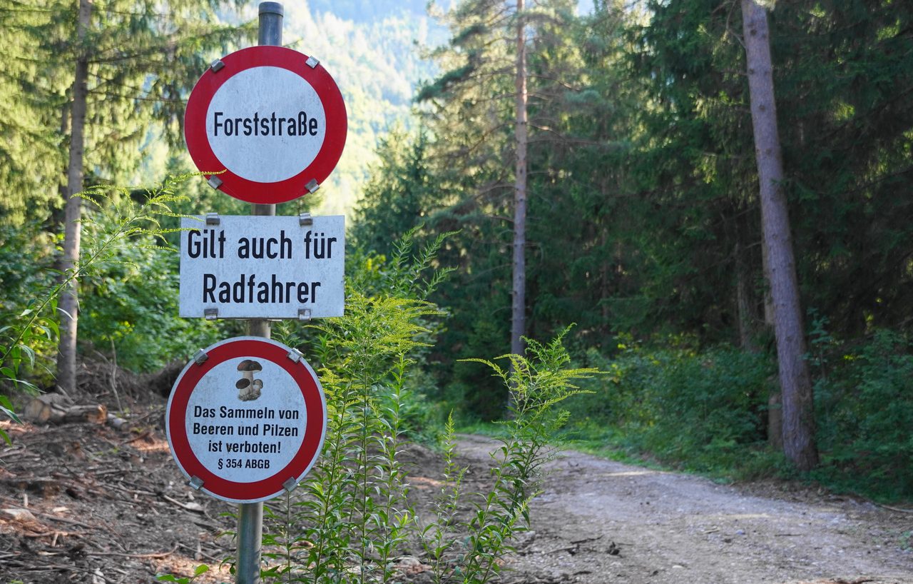 Beschildertes Fahrverbot an einer Forststraße in Weißenstein in Kärnten