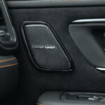 Harman-Kardon-Lautsprecher in der Tür des Ram 1500 Rumble Bee SRT